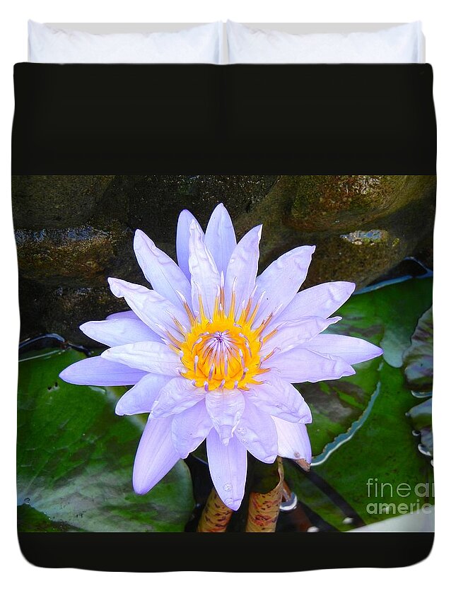 Water Lily Duvet Cover featuring the photograph Water Lily by Laura Forde