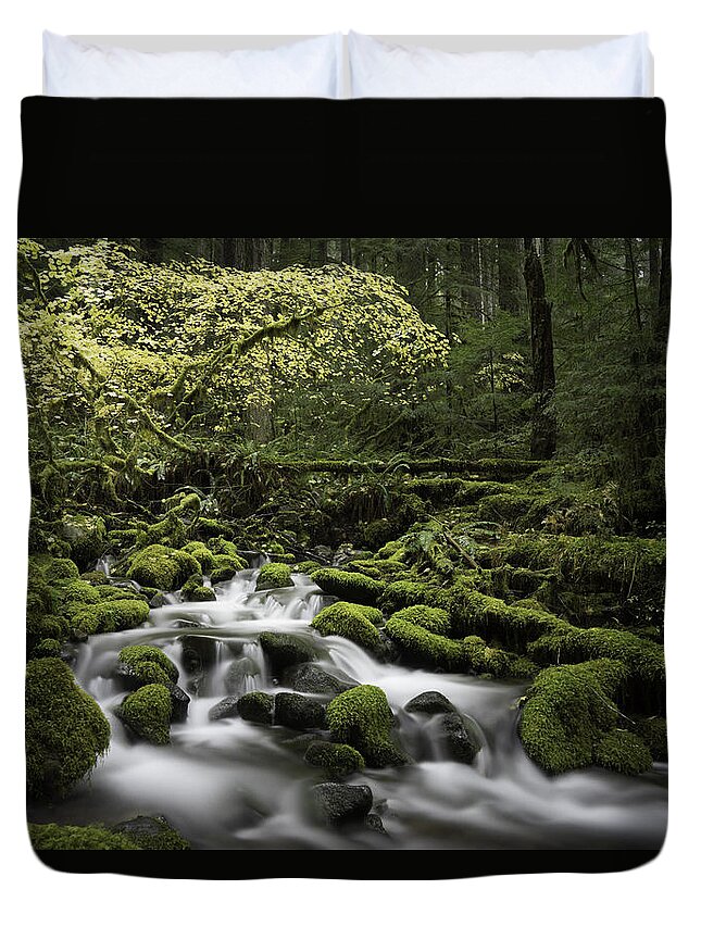 Washington State Duvet Cover featuring the photograph Waterfall In The Fall by Jonathan Davison