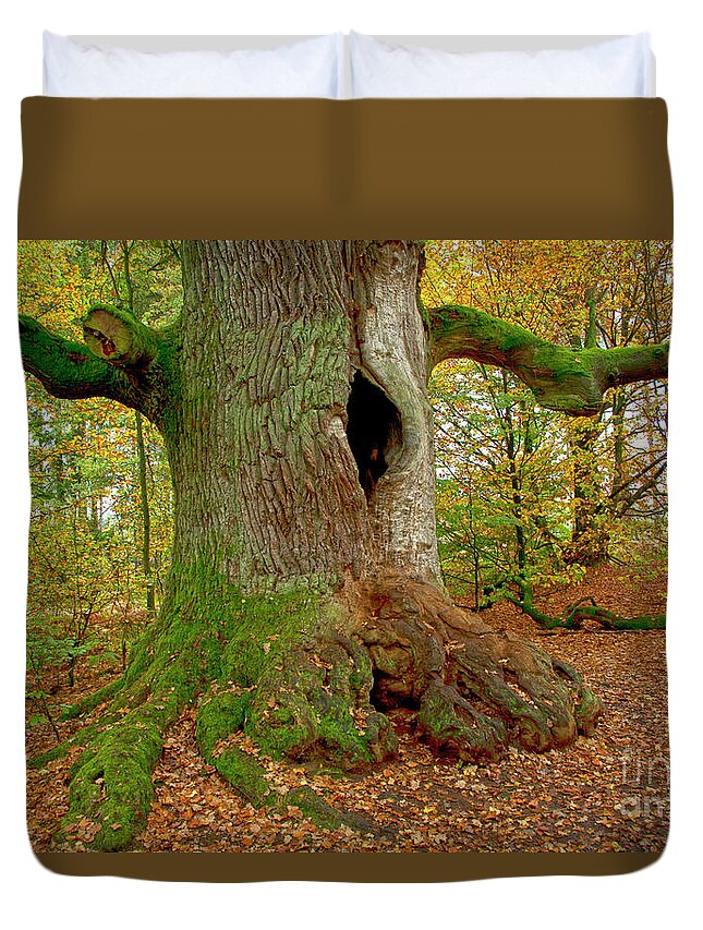 Tree Duvet Cover featuring the photograph We are here since 1000 years 2 by Heiko Koehrer-Wagner