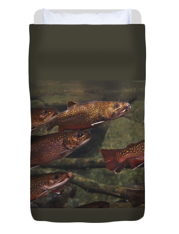 Fish Duvet Cover featuring the photograph We are one by Jeffery L Bowers