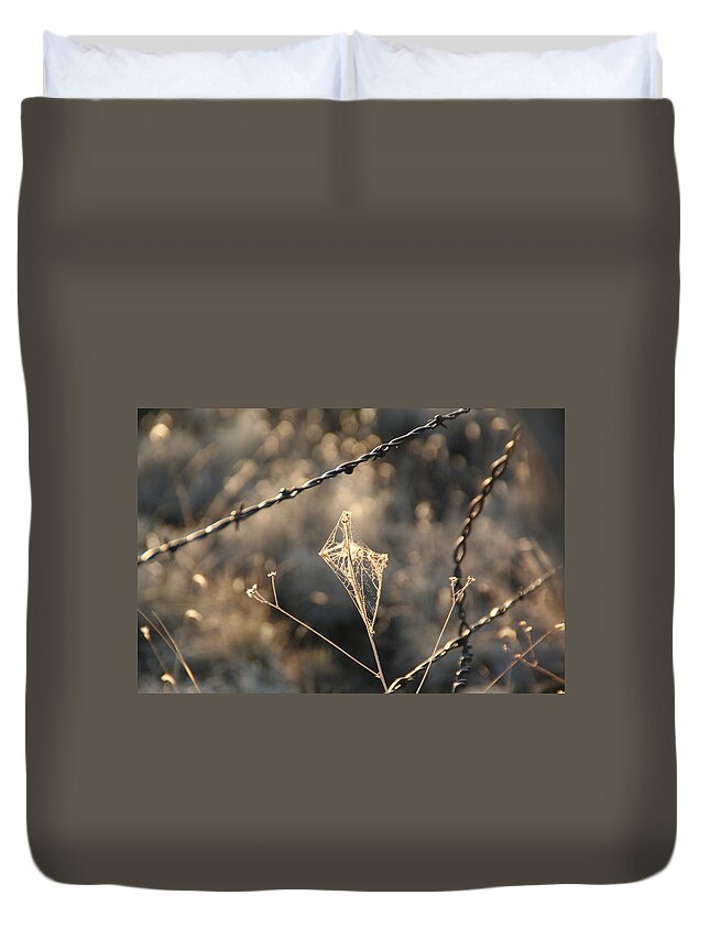 Web Duvet Cover featuring the photograph web by David S Reynolds