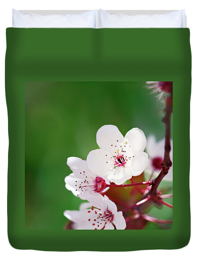 Greece Duvet Cover featuring the photograph Welcoming Spring by Elias Kordelakos Photography