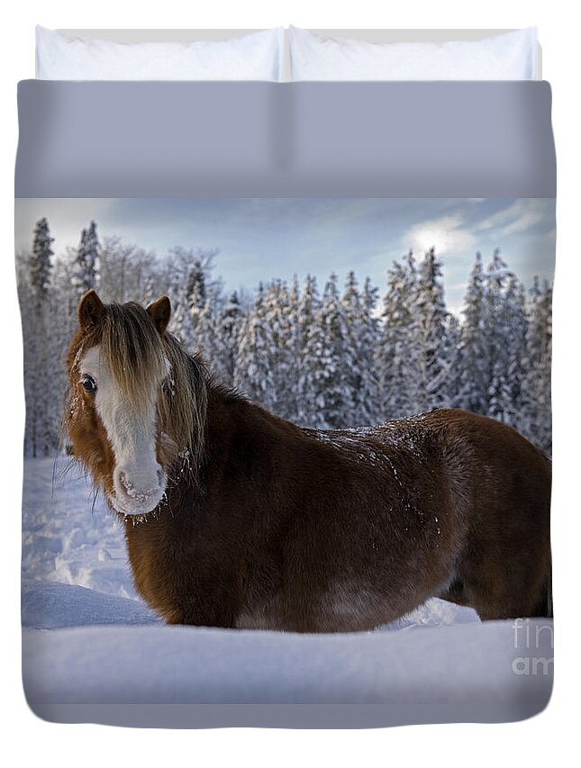 Horse Duvet Cover featuring the photograph Welsh Pony Snow by Rolf Kopfle