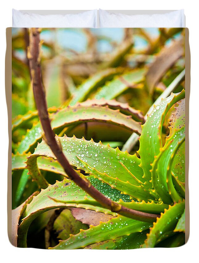 Wet Duvet Cover featuring the photograph After the Rain by Melinda Ledsome