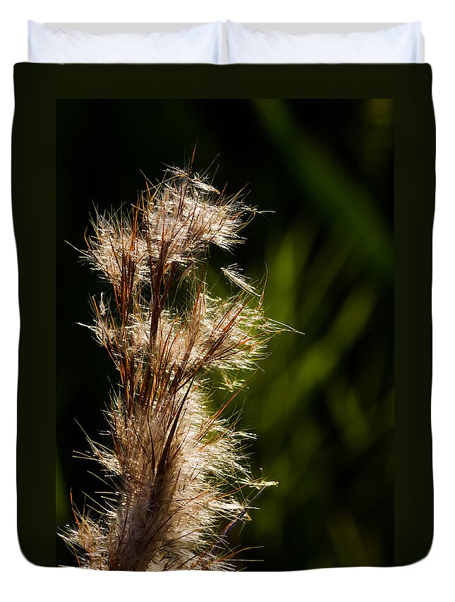 Aqauatic Duvet Cover featuring the photograph Wetland Sparkles by Ed Gleichman