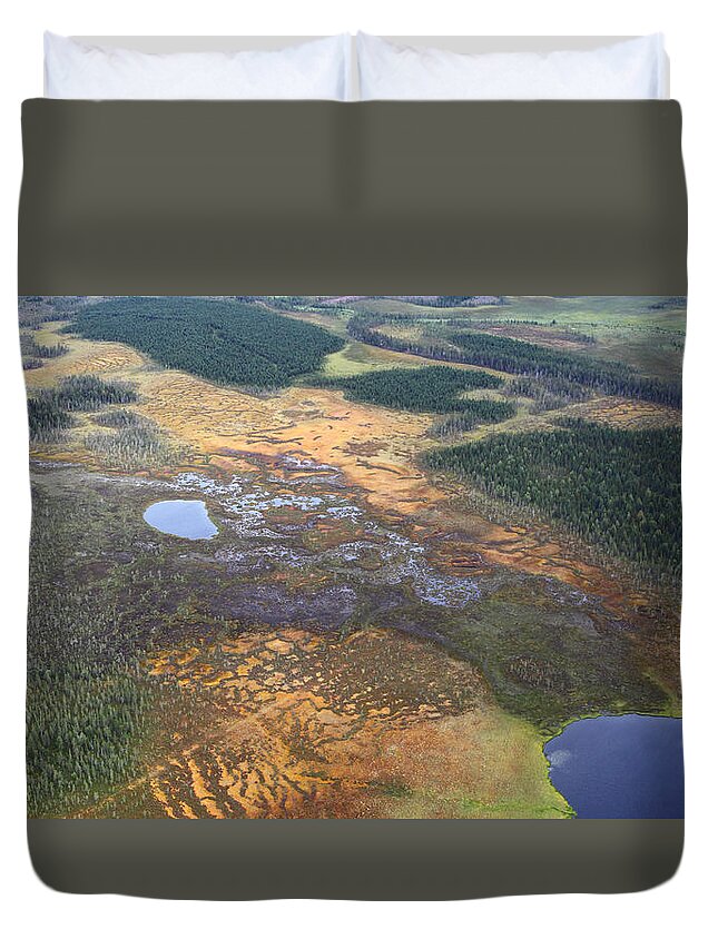 Landscape Duvet Cover featuring the photograph Wetlands and Puddles I by Pekka Sammallahti