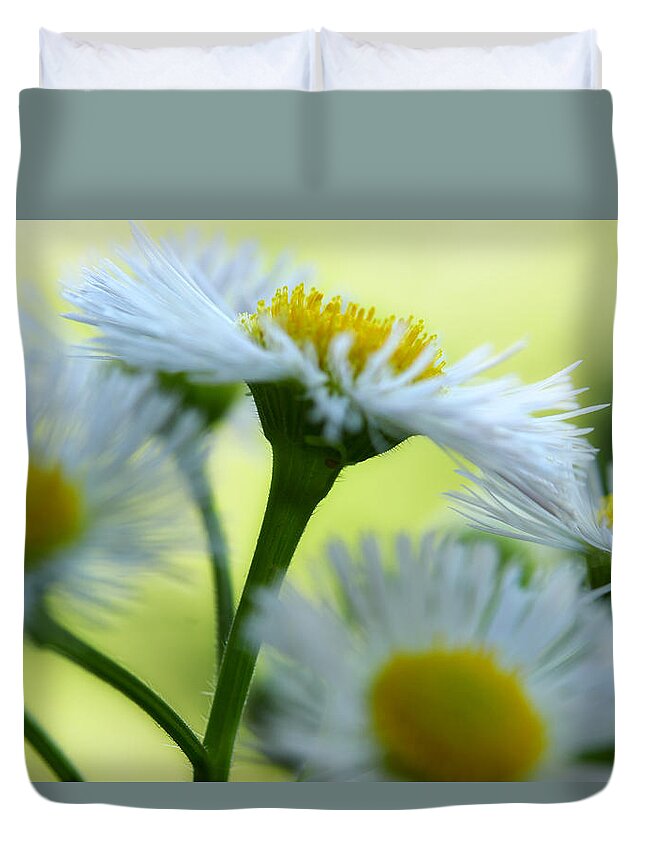 White Wildflower Duvet Cover featuring the photograph We've Only Just Begun by Michael Eingle
