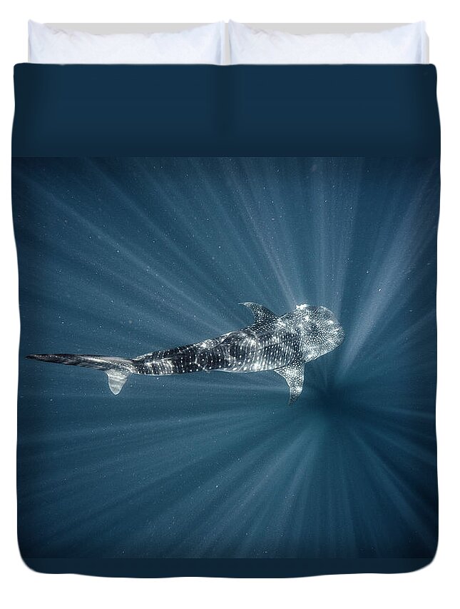 Tranquility Duvet Cover featuring the photograph Whale Shark by Tyler Stableford