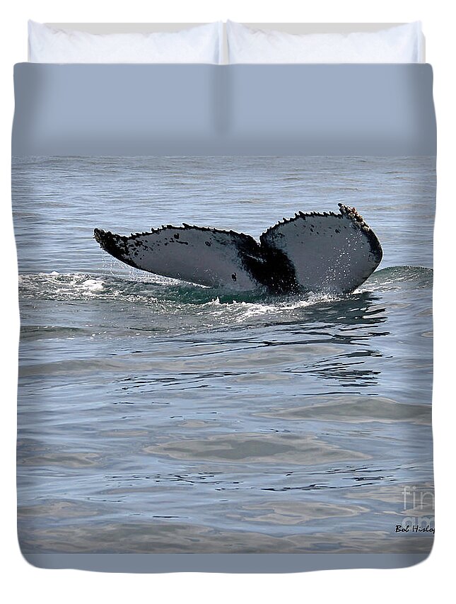 Panama Duvet Cover featuring the photograph Whale Tail by Bob Hislop