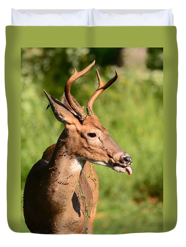 Deer Duvet Cover featuring the photograph What A Mess by Lori Tambakis