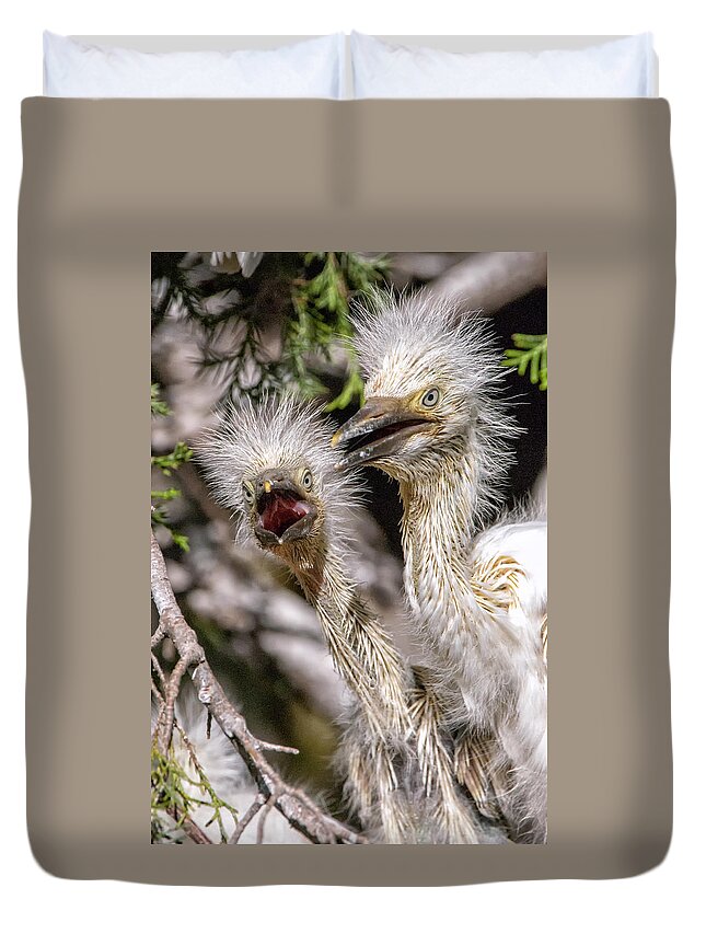 Crystal Yingling Duvet Cover featuring the photograph What by Ghostwinds Photography