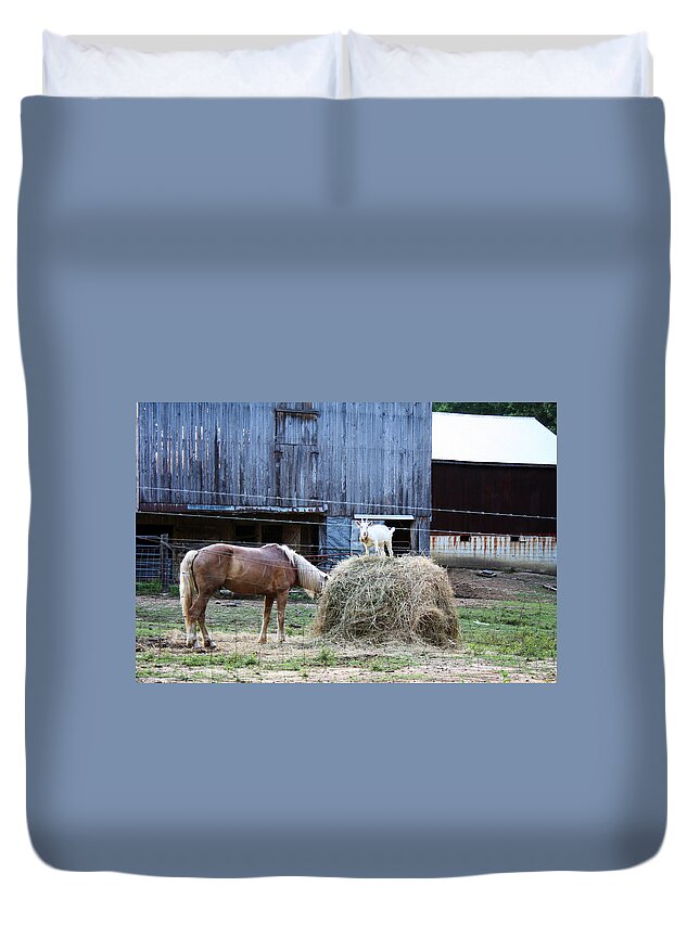 Goat Duvet Cover featuring the photograph What You Looking At by La Dolce Vita