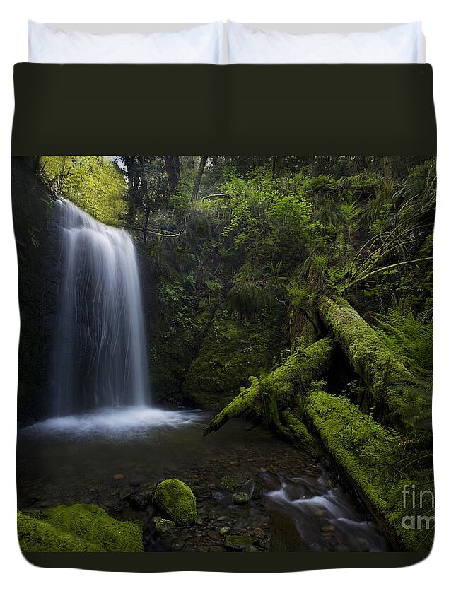 Waterfall Duvet Cover featuring the photograph Whatcom Falls Serenity by Mike Reid