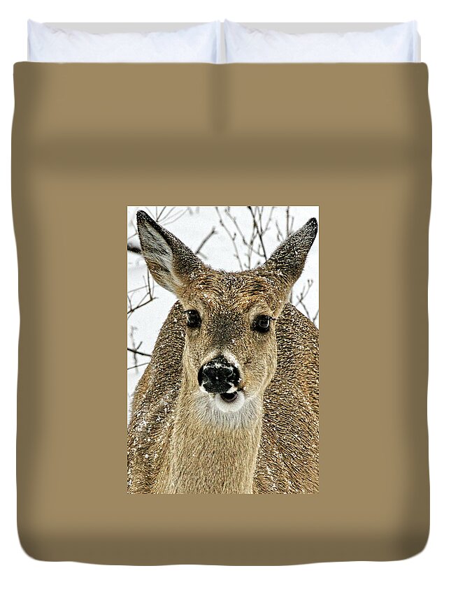 Deer Duvet Cover featuring the photograph Whats Up Doc? by Alan Hutchins