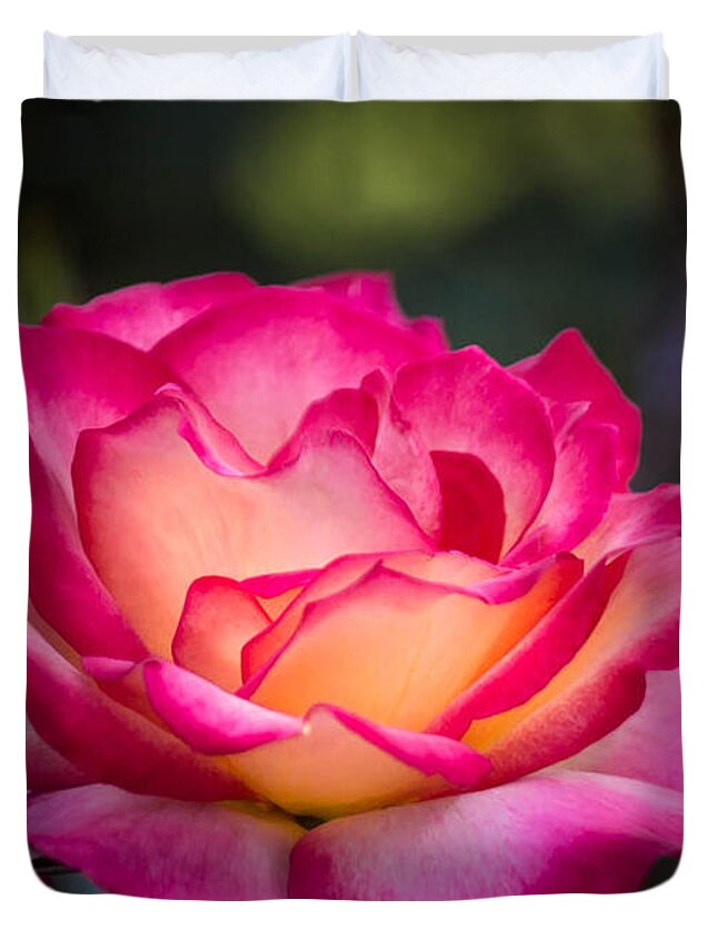 Rose Duvet Cover featuring the photograph When it's love by Patricia Babbitt