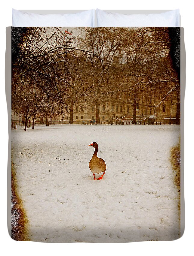 Goose Duvet Cover featuring the photograph Where is everyone by Jasna Buncic