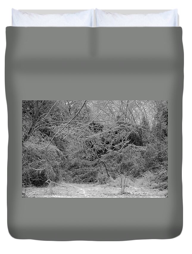 Ice Duvet Cover featuring the photograph Where Is The Trail by Daniel Reed