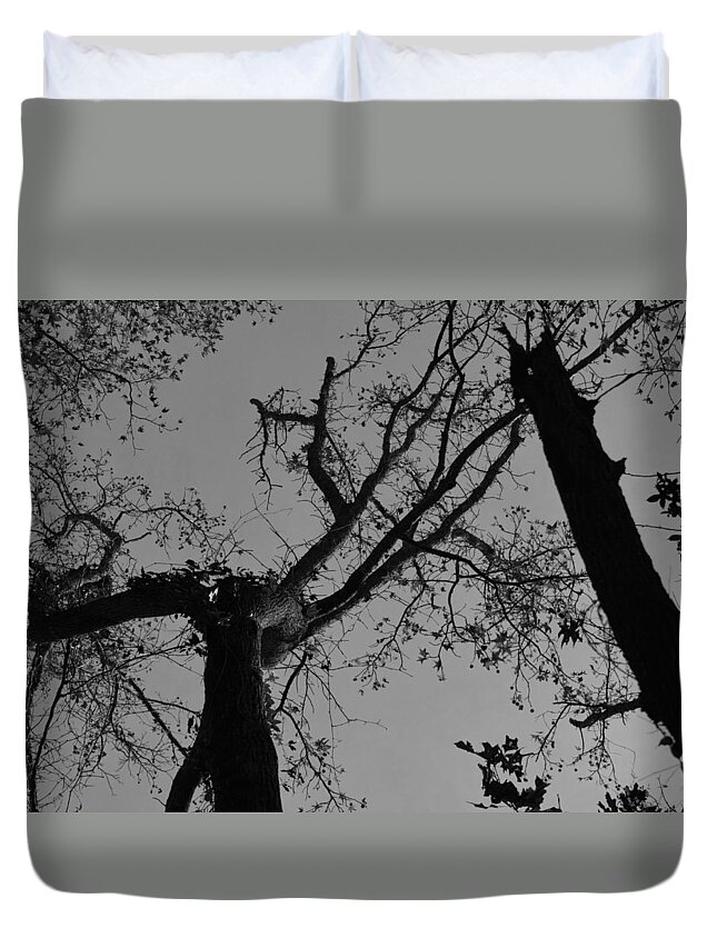 Wall Art Photographs Duvet Cover featuring the photograph Silhouette Trees by Barb Dalton