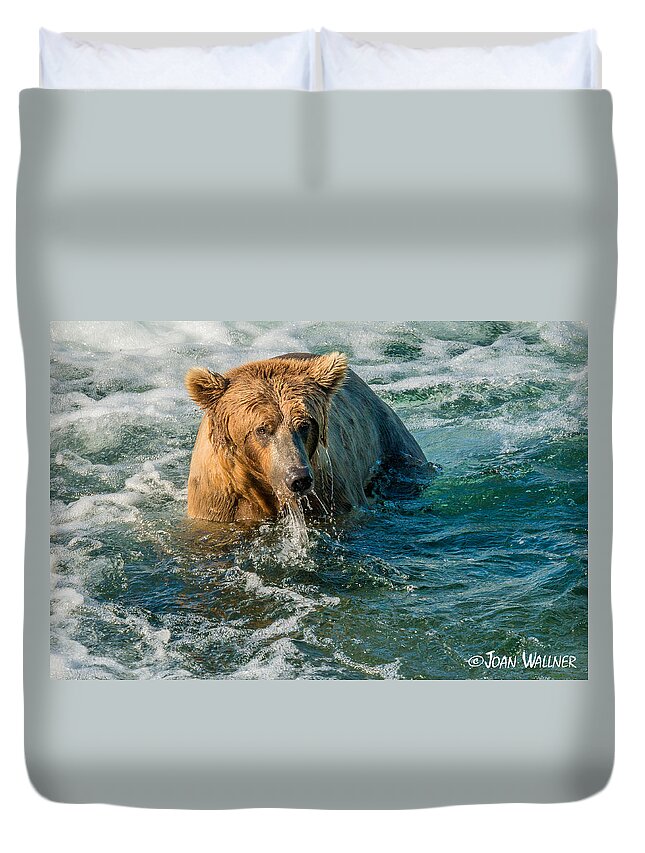 Alaska Duvet Cover featuring the photograph Whirlpool Grizzly by Joan Wallner