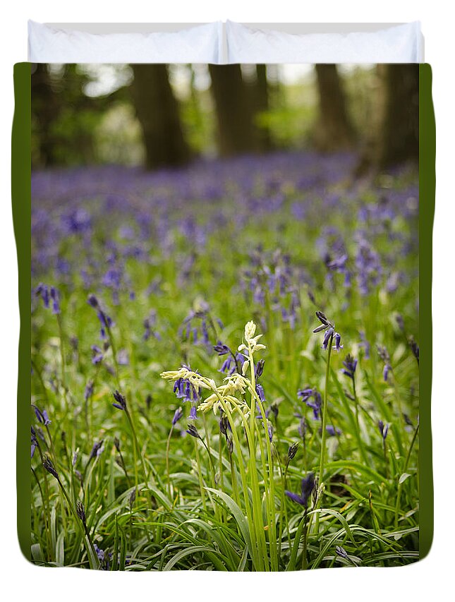 Forest Duvet Cover featuring the photograph White amongst the Blue by Spikey Mouse Photography
