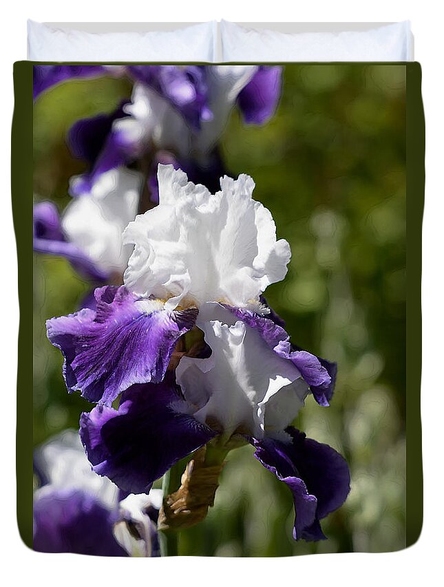 Iris Duvet Cover featuring the photograph White and Purple Iris by Kae Cheatham