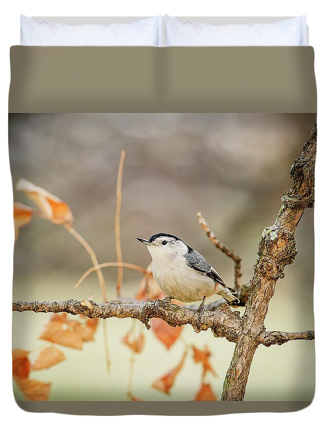 Songbird Duvet Cover featuring the photograph White-breasted Nuthatch Sitta by Tom Patrick / Design Pics