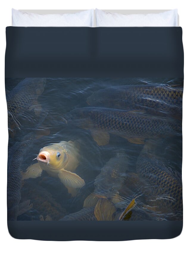 Fish Duvet Cover featuring the photograph White carp in the lake by Flees Photos