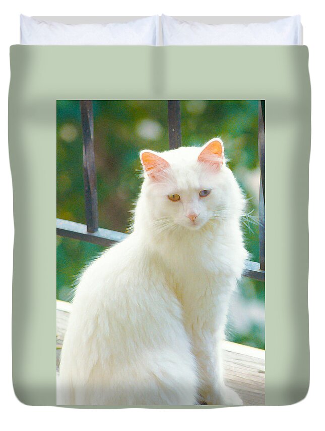 White Cat Duvet Cover featuring the photograph White Cat by Lynn Hansen