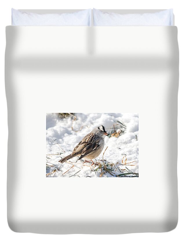 White-crowned Sparrow Duvet Cover featuring the photograph White-Crowned Sparrow in the Snow by Holden The Moment