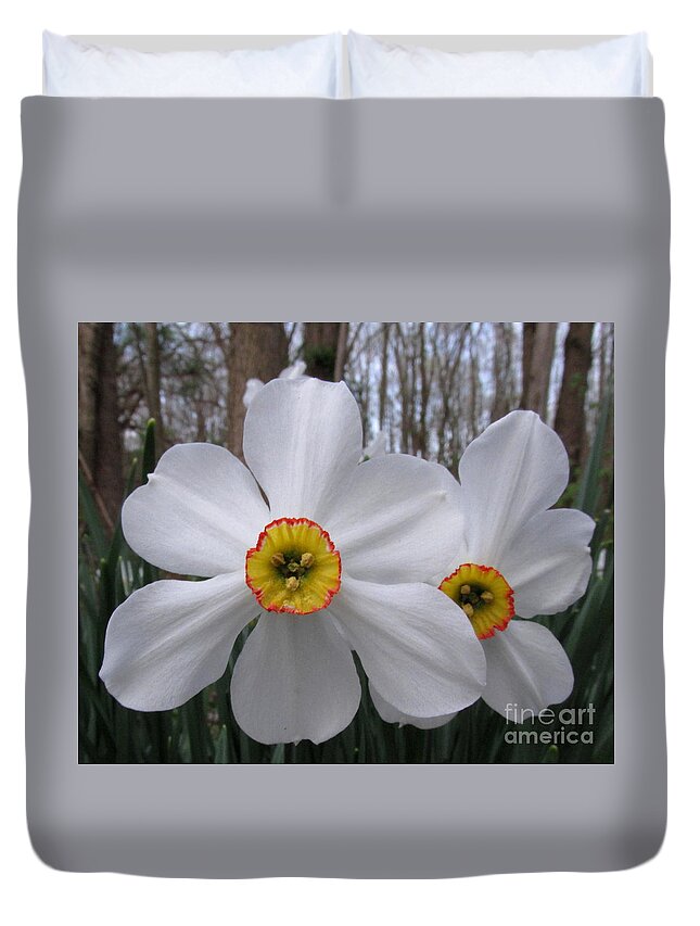 White Daffadills White Wildflowers Forest Flowers Forest Flora Woodland Flora Botanical Biodiversity Woodland Wildflowers Of North America Flowers And Trees Early Spring Flowers Early Bloomers White Blooms Duvet Cover featuring the photograph White Daffadills by Joshua Bales