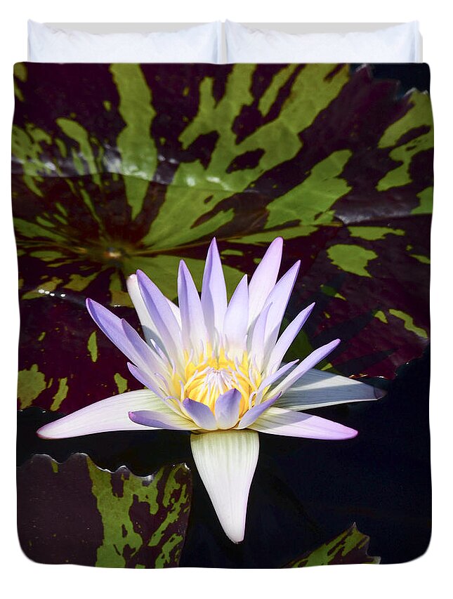 White Water Lily Duvet Cover featuring the photograph White Water Lily by Crystal Wightman