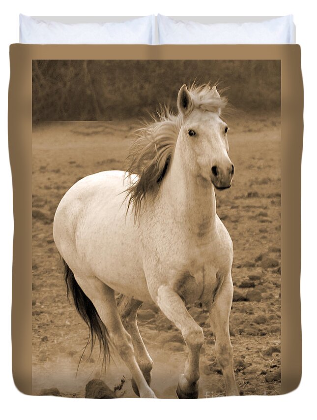 Rtf Ranch Duvet Cover featuring the photograph White Mare Approaches Number One Close Up Sepia by Heather Kirk
