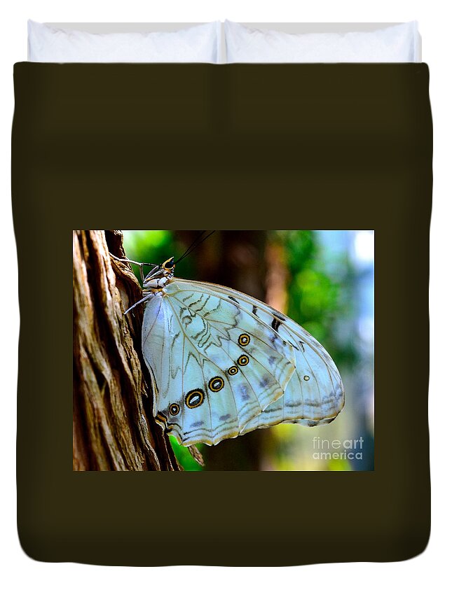 Butterfly Rainforest Duvet Cover featuring the photograph White Morpho Butterfly by AnnaJo Vahle