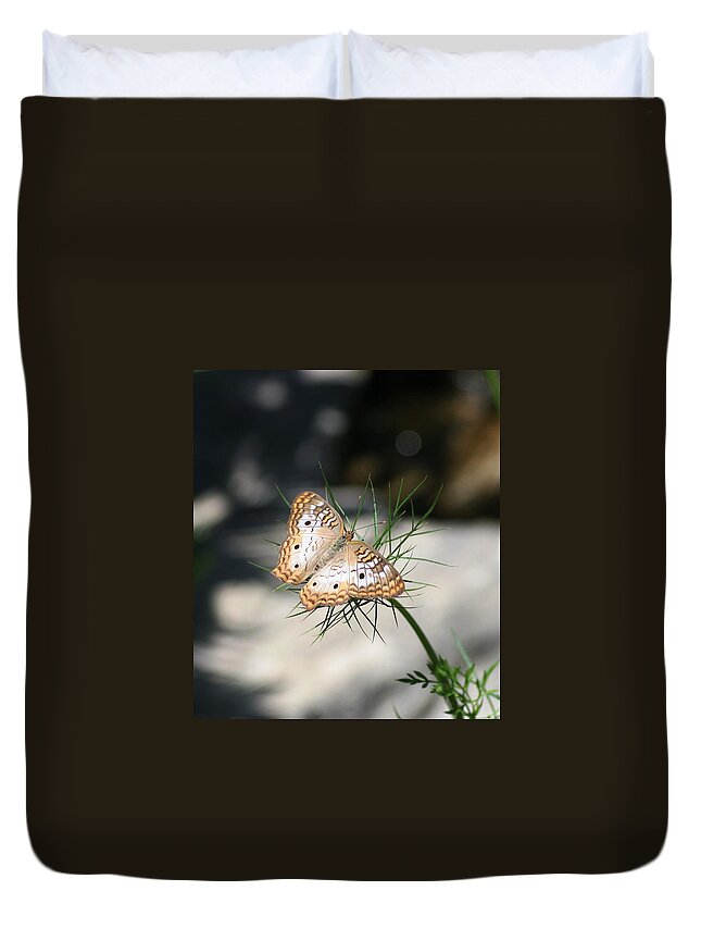 Butterflies Duvet Cover featuring the photograph White Peacock by Karen Silvestri
