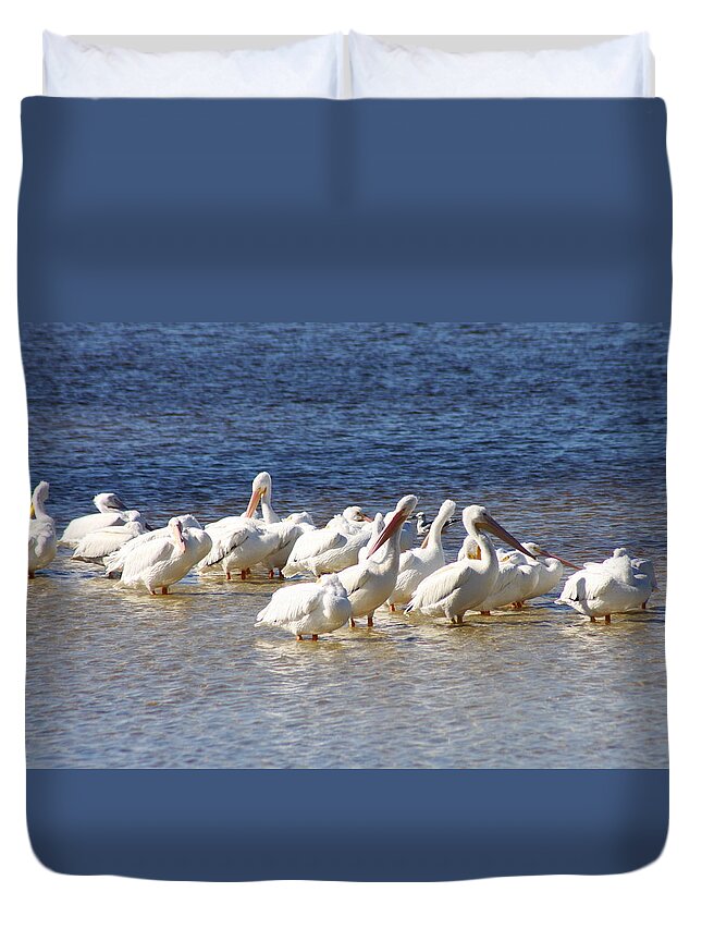 American White Pelican Duvet Cover featuring the photograph White Pelicans On Sanibel Island by Christiane Schulze Art And Photography