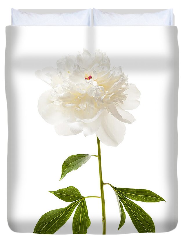 Peony Duvet Cover featuring the photograph White peony flower on white by Elena Elisseeva