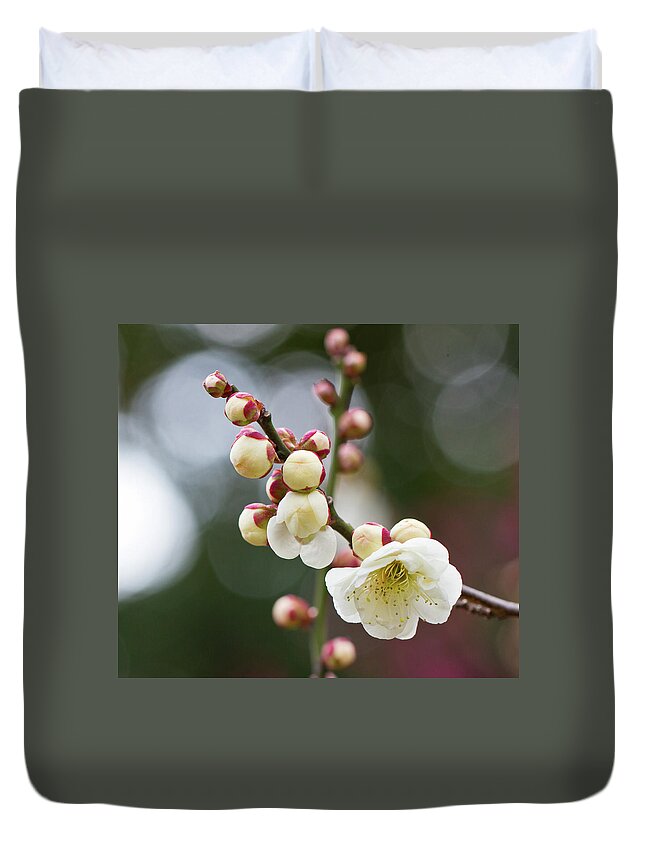 Cherry Duvet Cover featuring the photograph White Plum Blossoms by Kenjiyamamoto