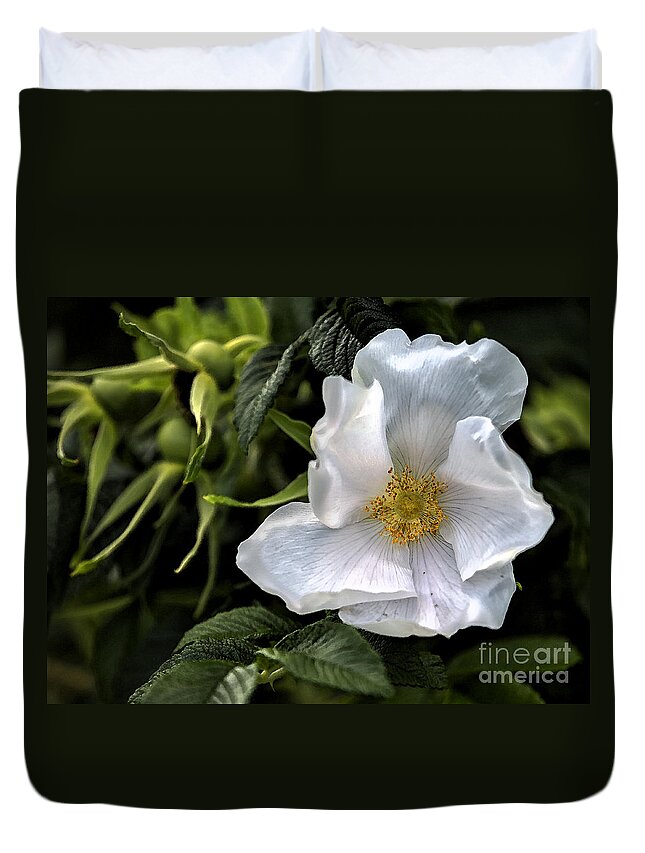 Rose Duvet Cover featuring the photograph White Rose by Belinda Greb