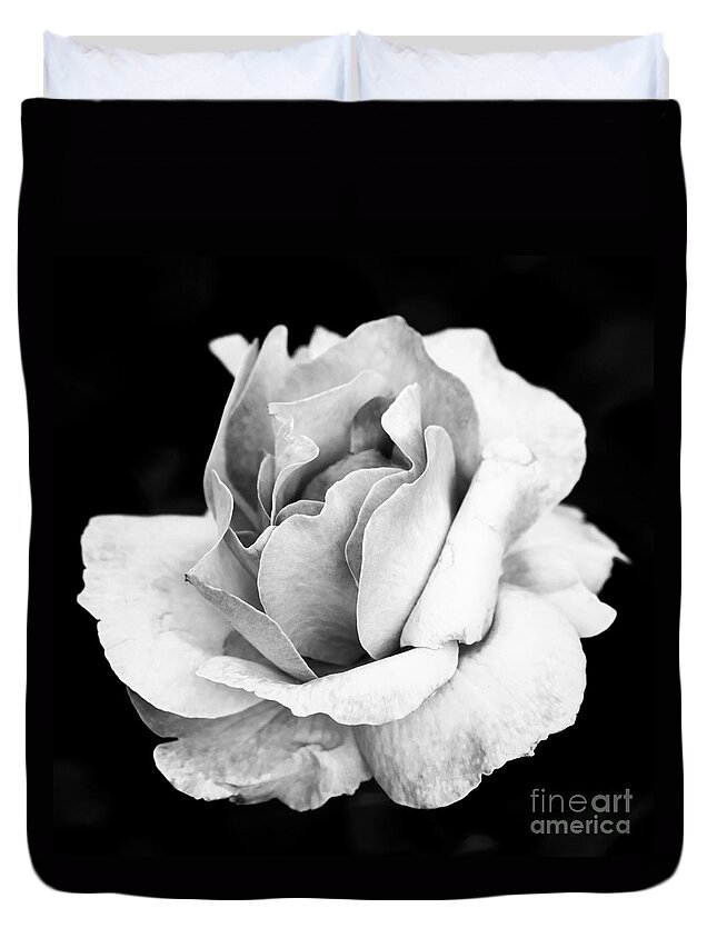 Rose Duvet Cover featuring the photograph White Rose by Daniel Heine