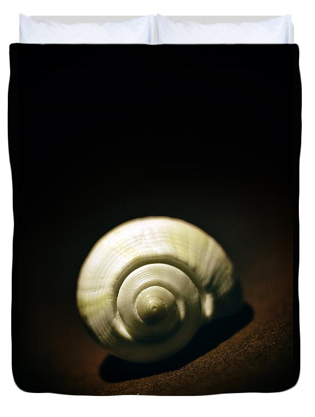 White Duvet Cover featuring the photograph White shell by Jaroslaw Blaminsky