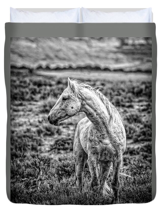 Colorado Duvet Cover featuring the photograph White Stallion Watching by Joan Davis