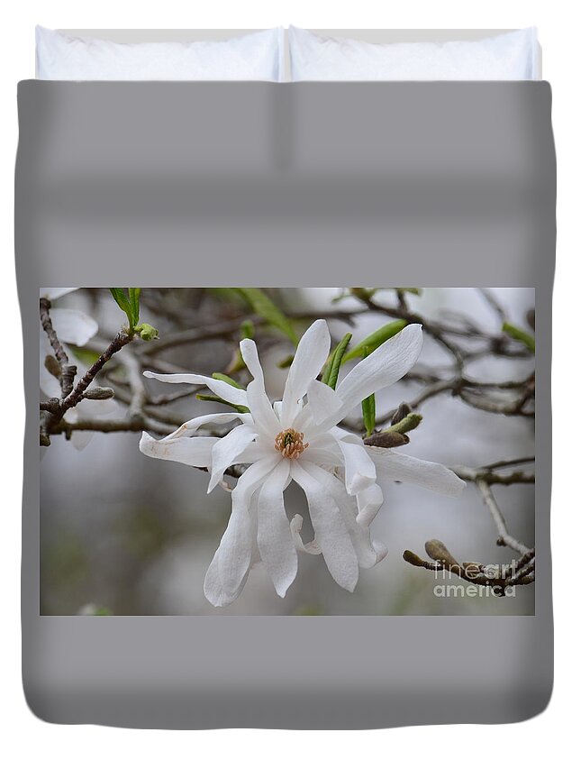 White Star Magnolia Duvet Cover featuring the photograph White Star Magnolia by Maria Urso