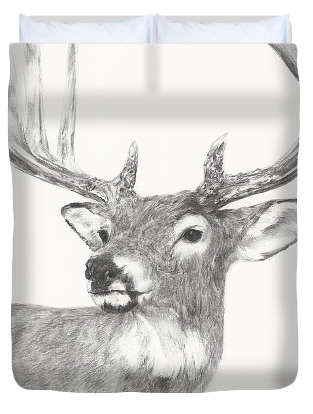 Deer Duvet Cover featuring the drawing White tailed Buck study by Meagan Visser