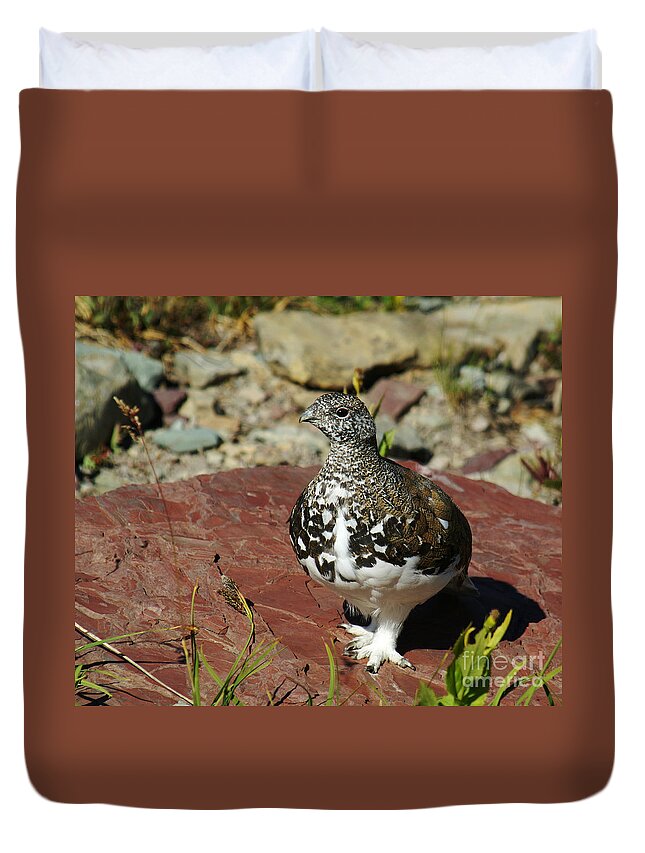 Bird Duvet Cover featuring the photograph White-tailed Ptarmigan by Sue Smith