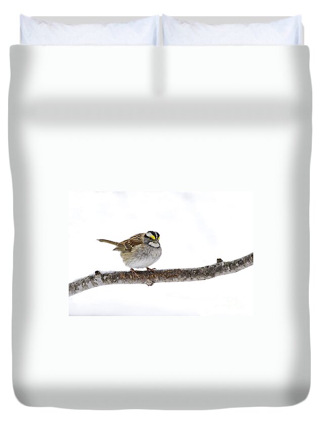 White-throated Sparrow Duvet Cover featuring the photograph White-throated Sparrow by Jan Killian