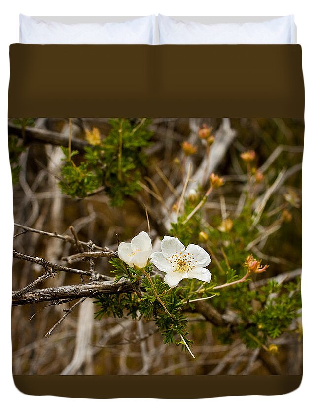  Duvet Cover featuring the photograph White Wild Flower by James Gay