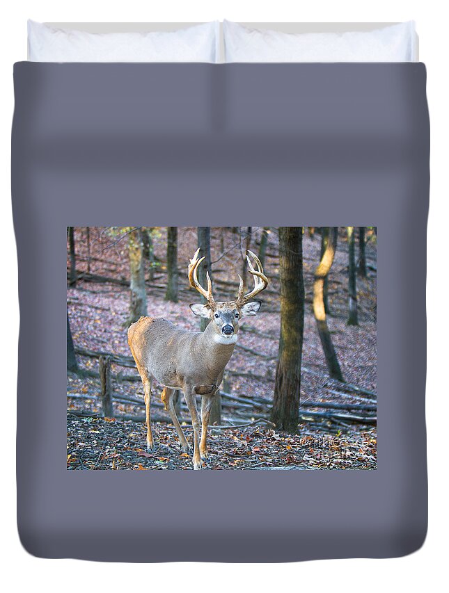 Big Game Duvet Cover featuring the photograph Whitetail Buck by Ronald Lutz