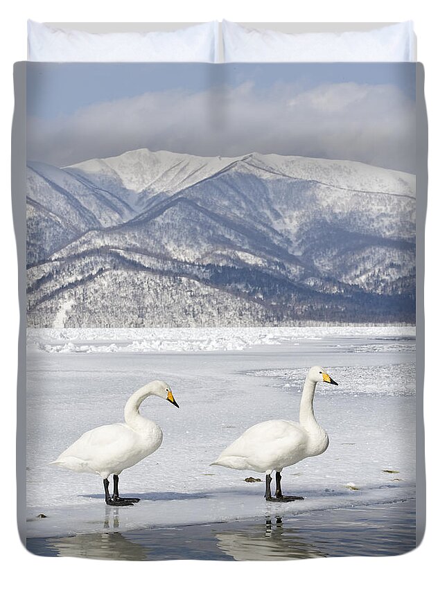Flpa Duvet Cover featuring the photograph Whooper Swan On Frozen Lake Hokkaido by Dickie Duckett