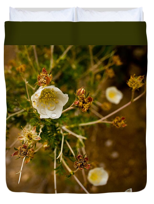  Duvet Cover featuring the photograph Wild Desert Flower by James Gay