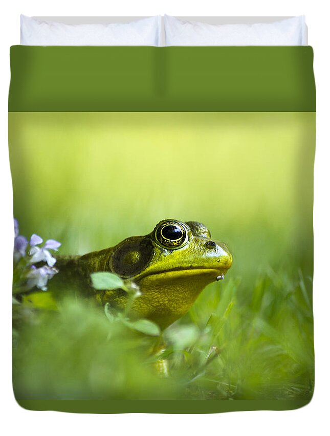 Frogs Duvet Cover featuring the photograph Wild Green Frog by Christina Rollo